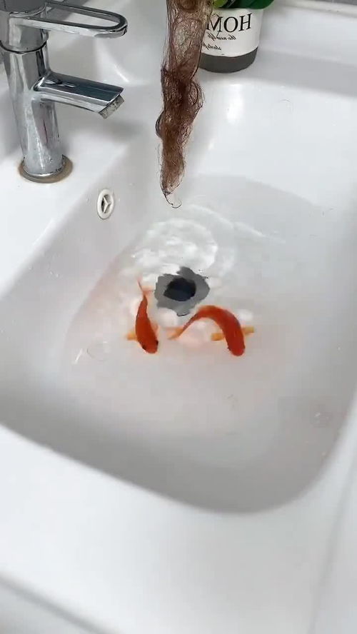 下水道疏通夹子卡在管道里怎么办(下水道疏通神器卡住了怎么办)