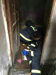 养猪场粪塞掉到管道卡住怎么疏通(养猪场粪坑) 养猪场粪塞掉到管道卡住怎么疏通(养猪场粪坑)
