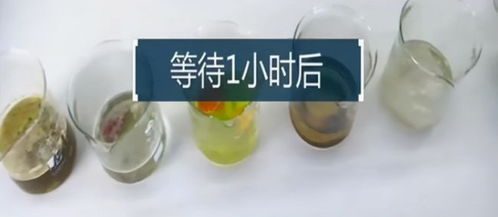 管道疏通剂错倒水壶了怎么办(管道疏通剂倒了一瓶)
