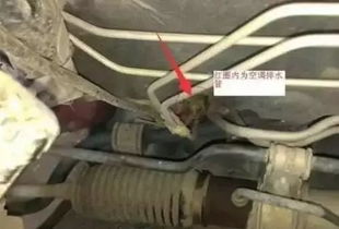 轩逸排水管道堵塞怎么疏通(轩逸排水管在哪里) 轩逸排水管道堵塞怎么疏通(轩逸排水管在哪里)