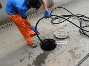 排水管道疏通内容怎么写(排水管道疏通内容怎么写范文) 排水管道疏通内容怎么写(排水管道疏通内容怎么写范文)