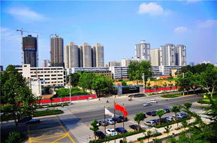 霞光府下水管道堵了怎么疏通(霞光府小区)