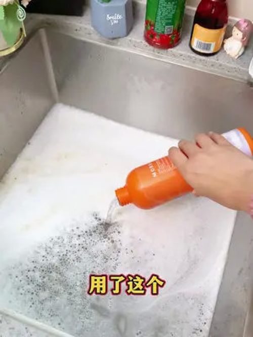 管道疏通剂小飞虫反臭怎么处理(管道疏通剂治小飞虫吗)