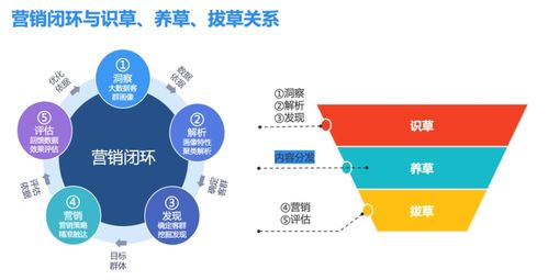 管道疏通经营范围怎么选择(管道疏通行业)