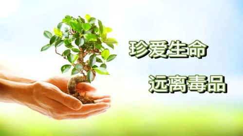 新发明管道疏通剂怎么用(管道疏通剂专利)