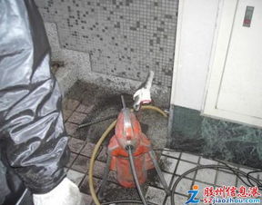 管道疏通怎么写优势比较好(疏通管道的疏通怎么写)