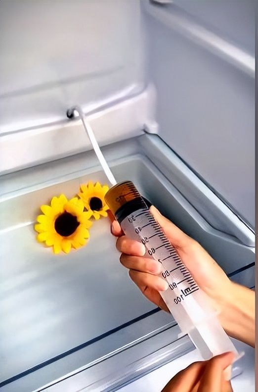 冰箱下水管道疏通器怎么安装(冰箱排水管疏通器的用法) 冰箱下水管道疏通器怎么安装(冰箱排水管疏通器的用法)