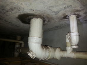 粪水把管道堵了怎么疏通(粪管道堵住怎么办) 粪水把管道堵了怎么疏通(粪管道堵住怎么办)