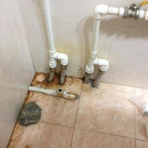 水箱蹲厕堵了怎么疏通管道(水箱蹲坑怎么安装) 水箱蹲厕堵了怎么疏通管道(水箱蹲坑怎么安装)