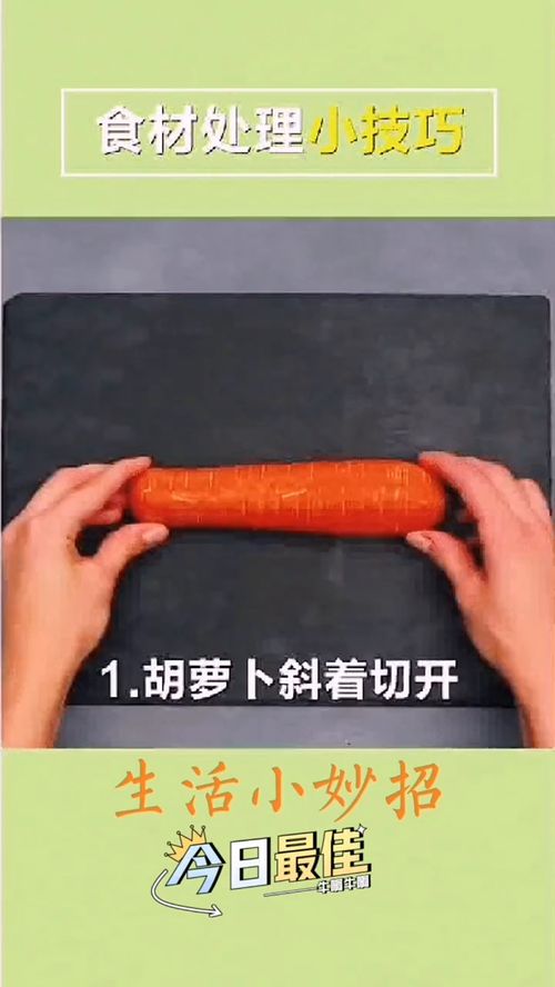 管道疏通气味怎么去除小妙招(生活小妙招管道疏通办法)