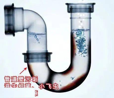 存水弯管道疏通剂怎么用(存水弯管道疏通剂怎么用图解) 存水弯管道疏通剂怎么用(存水弯管道疏通剂怎么用图解)