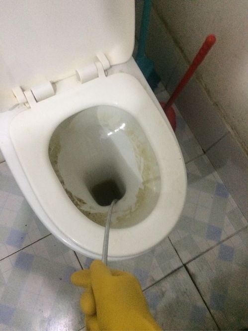 密封泥堵马桶怎么疏通管道(马桶密封泥多久能干)