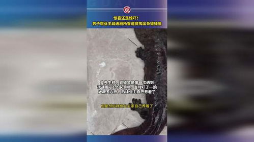 树洞管道疏通剂怎么用的(树洞管道疏通剂怎么用的啊)
