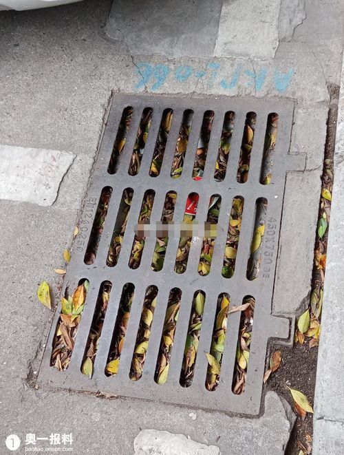 雨篦子堵了怎么疏通管道(雨篦子堵了怎么疏通管道呢)