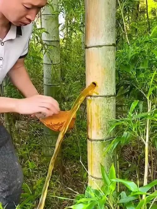 家里有洞怎么疏通管道呢(家里有窟窿)