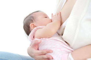 用嘴怎么疏通母乳管道呢(用嘴怎么疏通母乳管道呢图片)