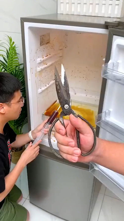 冰箱管道疏通器怎么结冰(冰箱管道疏通器怎么结冰的)