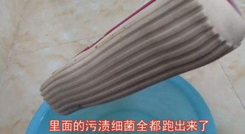 管道清洁疏通毛刷怎么做(管道清洁疏通毛刷怎么做的) 管道清洁疏通毛刷怎么做(管道清洁疏通毛刷怎么做的)