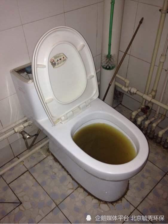 双孔马桶怎么疏通管道图解(双孔马桶安装方法图解) 双孔马桶怎么疏通管道图解(双孔马桶安装方法图解)