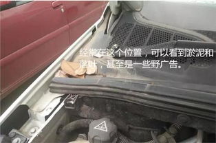 车门下面怎么疏通管道的(车门下面怎么疏通管道的图片)
