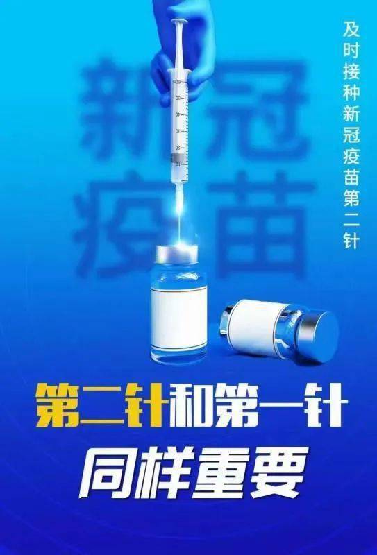 油堵管道疏通剂怎么用(堵油管用什么东西比较好)