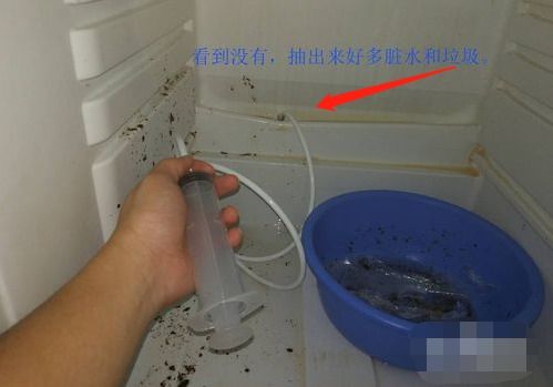 冰箱过滤堵了怎么疏通管道(冰箱过滤器堵塞怎么办) 冰箱过滤堵了怎么疏通管道(冰箱过滤器堵塞怎么办)