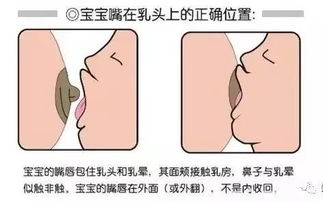 挤奶前怎么疏通奶水管道(挤奶前怎么按摩手法)