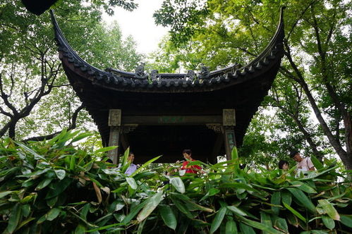 亭林管道疏通怎么样(亭林园景区)