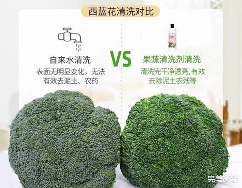 蔬果园管道疏通剂怎么使用(管道蔬通剂效果怎样)