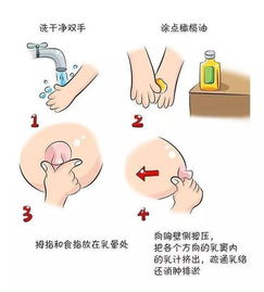 奶块怎么快速疏通血管道(奶块疏通手法图解)
