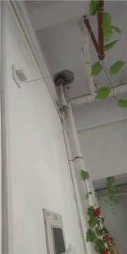 空调管道漏水怎么疏通的(空调管道漏水怎么疏通的快) 空调管道漏水怎么疏通的(空调管道漏水怎么疏通的快)