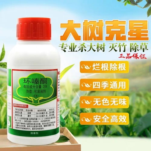 蝉树管道疏通剂怎么用(蝉树管道疏通剂怎么用图解)