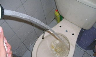 马桶鱼堵住了怎么疏通管道(马桶被鱼堵了如何自己快速疏通)