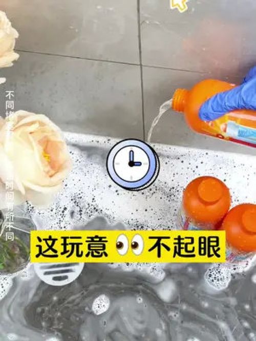 管道疏通液小飞虫怎么去除(管道疏通剂杀虫吗)