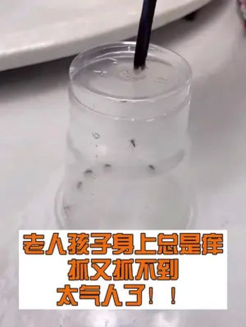 管道疏通后小飞虫怎么处理(管道疏通剂能去除小飞虫吗)