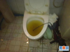 牙膏掉马桶里怎么疏通管道(牙膏掉马桶里怎么办)