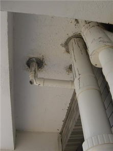 浴屏地漏怎么疏通管道的(浴池地漏安装视频) 浴屏地漏怎么疏通管道的(浴池地漏安装视频)