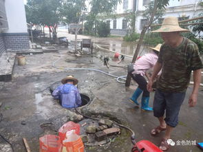 管道被茶叶堵了怎么疏通(管道被茶叶堵了怎么疏通呢)