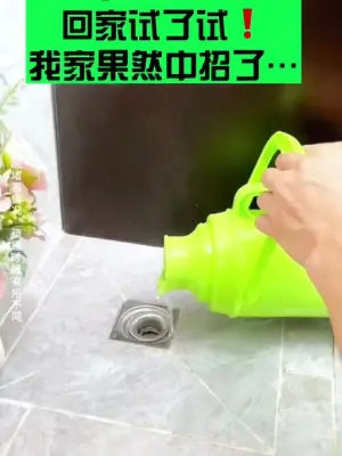 管道疏通小飞虫怎么办(管道疏通小飞虫怎么办图片)