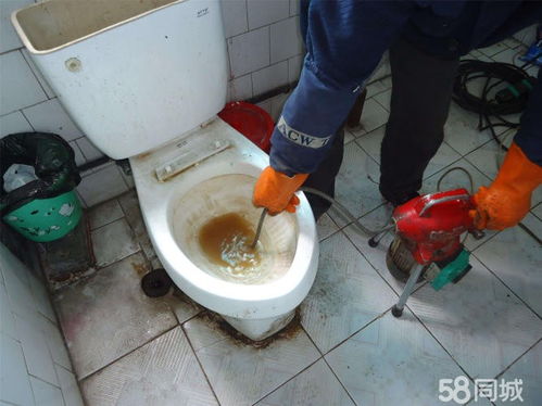 鞋刷堵了怎么疏通管道呢(鞋刷堵了怎么疏通管道呢图片)