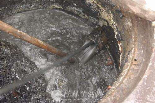 水蛭遇上管道疏通怎么办(水蛭遇上管道疏通怎么办呢)