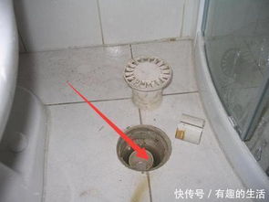 怎么能很快疏通地漏管道(怎么能很快疏通地漏管道的方法)