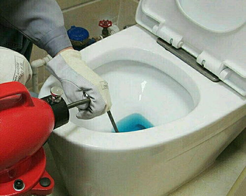 多伦多马桶怎么疏通管道(多伦多马场)
