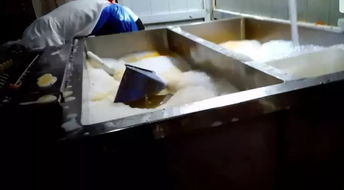 怎么疏通洗碗机水管道(如何疏通洗碗机排水管)
