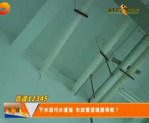 臭气管道堵了怎么疏通(把臭气管堵上会咋样) 臭气管道堵了怎么疏通(把臭气管堵上会咋样)