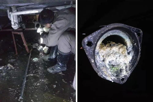 管道返水堵了怎么疏通(管道堵塞反水) 管道返水堵了怎么疏通(管道堵塞反水)
