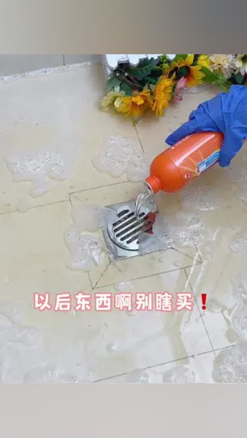 管道疏通剂小飞虫怎么清除(管道疏通剂小飞虫怎么清除干净)