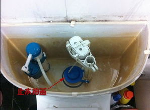浴室被堵怎么疏通管道的(浴室 堵)