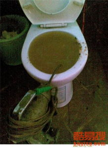 马桶青苔堵了怎么疏通管道(马桶青苔堵了怎么疏通管道图解)