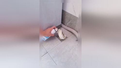 管道泡泡疏通剂怎么用图解(自制泡泡管)